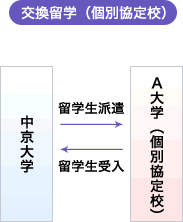 交換留学について